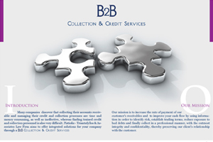 LAW FIRM BROCHURE